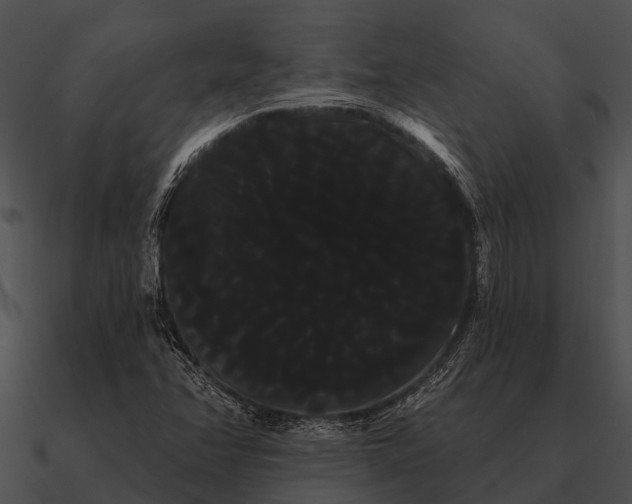 X0000090711358200708031425