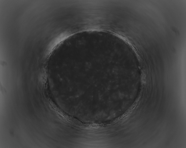 X0000090711359200708031425