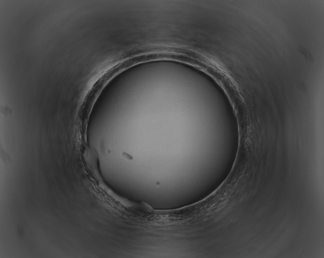 X0000090711360200708031425