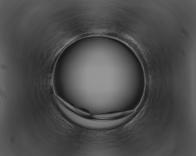 X0000090711361200708031425