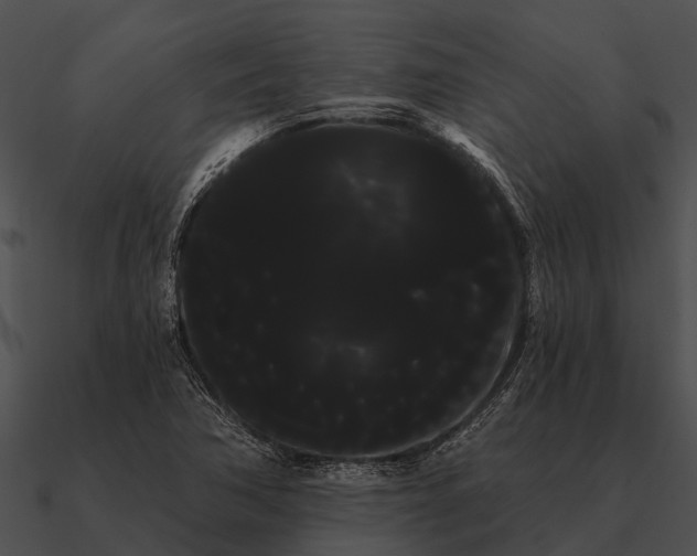 X0000090711362200708031425