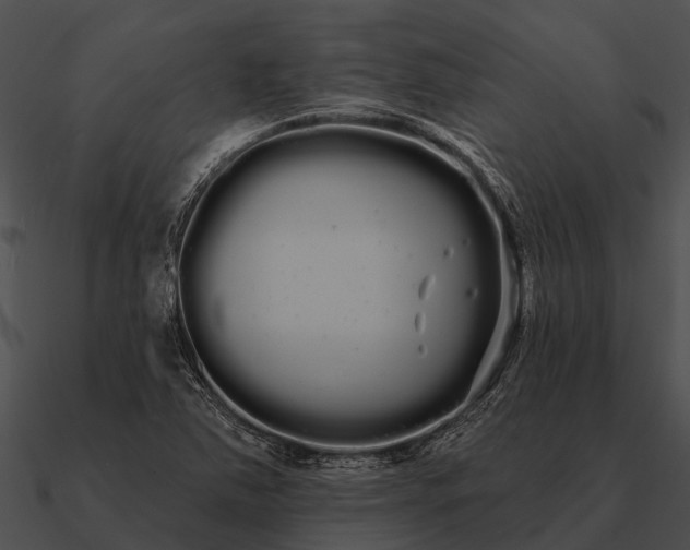 X0000090711363200708031425