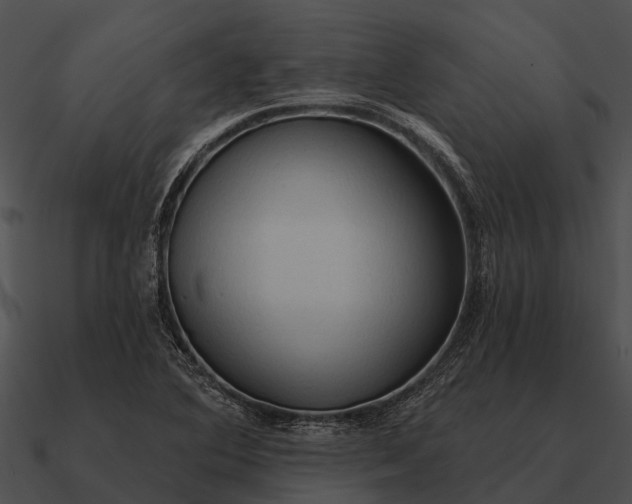 X0000090711364200708031425