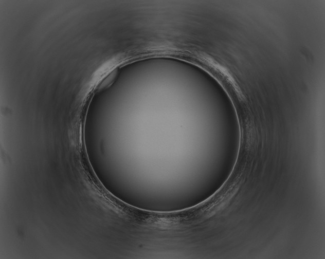 X0000090711365200708031425