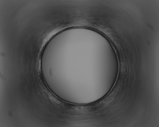 X0000090711366200708031425