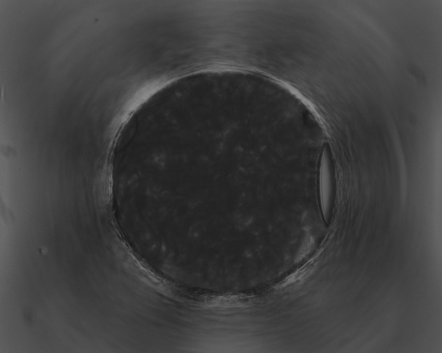 X0000090711367200708031425