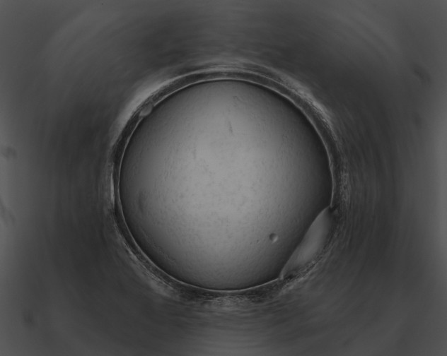 X0000090711368200708031425