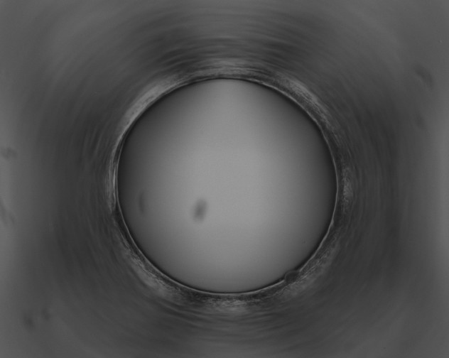 X0000090711370200708031425