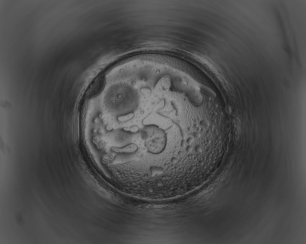 X0000090711371200708031425