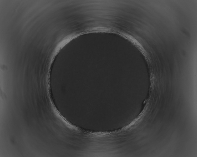 X0000090711373200708031425