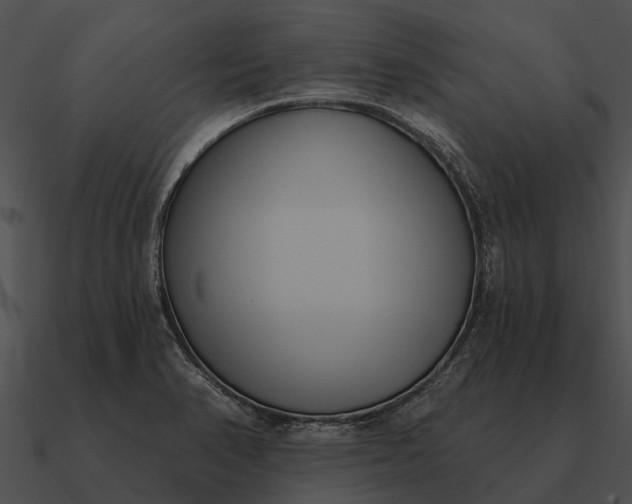 X0000090711374200708031425