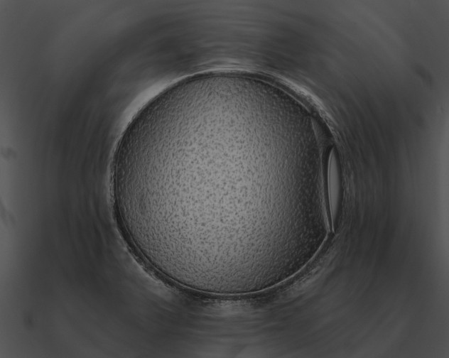 X0000090711375200708031425