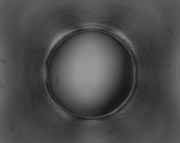 X0000090711376200708031425