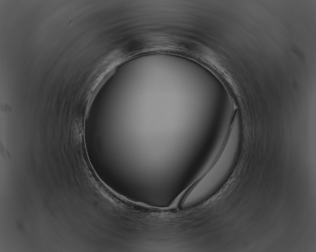 X0000090711377200708031425