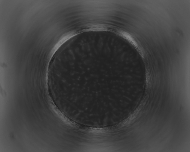 X0000090711378200708031425