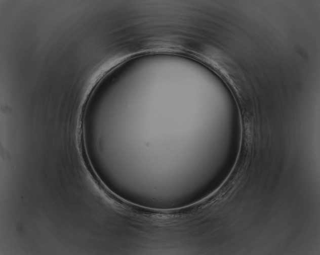 X0000090711379200708031425