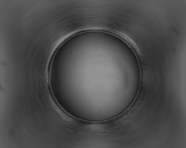 X0000090711380200708031425