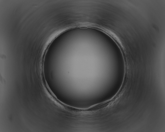 X0000090711381200708031425