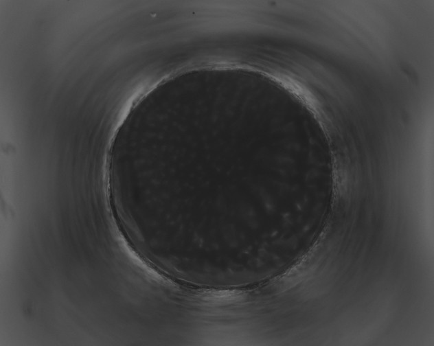 X0000090711382200708031424