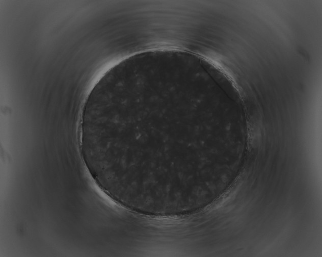 X0000090711383200708031424