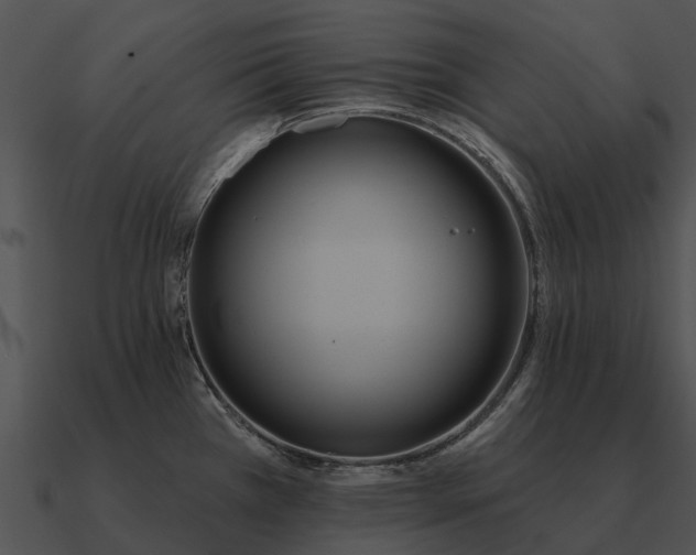 X0000090711385200708031424