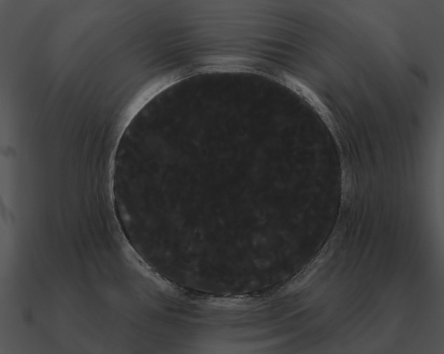 X0000090711386200708031424