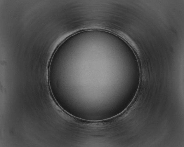 X0000090711388200708031424