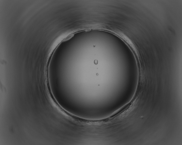 X0000090711389200708031424