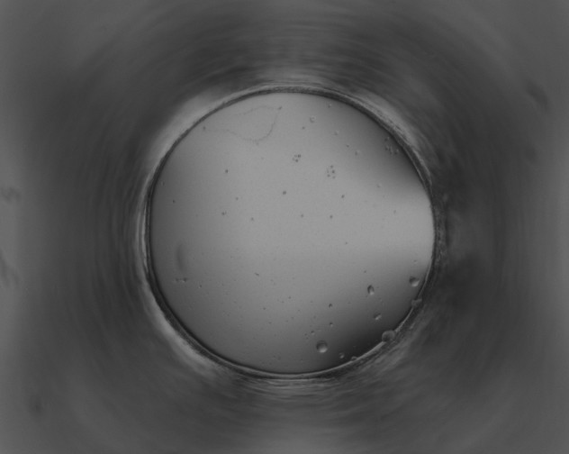 X0000090711391200708031424