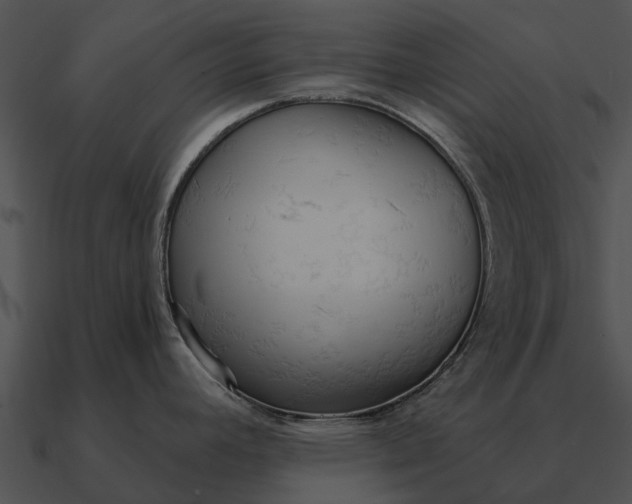 X0000090711392200708031424