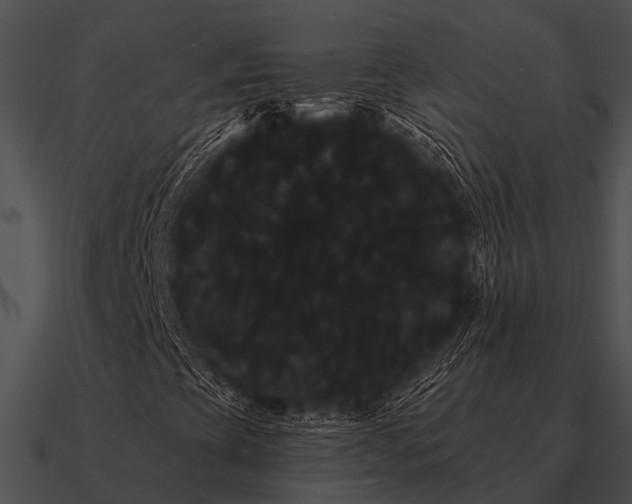 X0000090711393200708031424