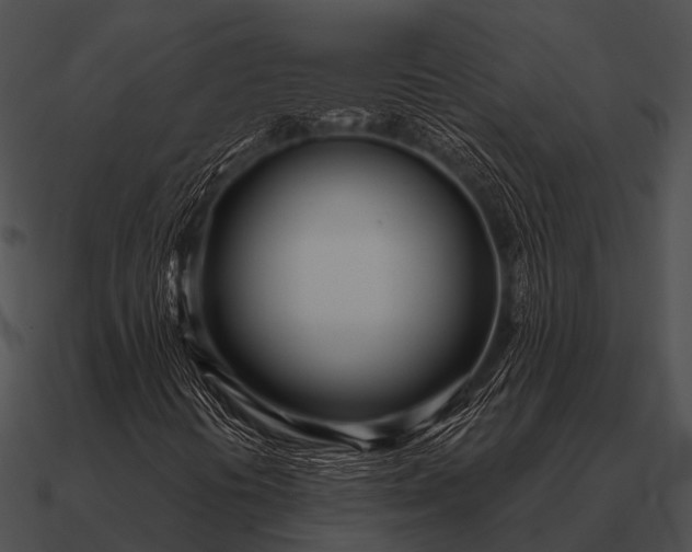 X0000090711394200708031424