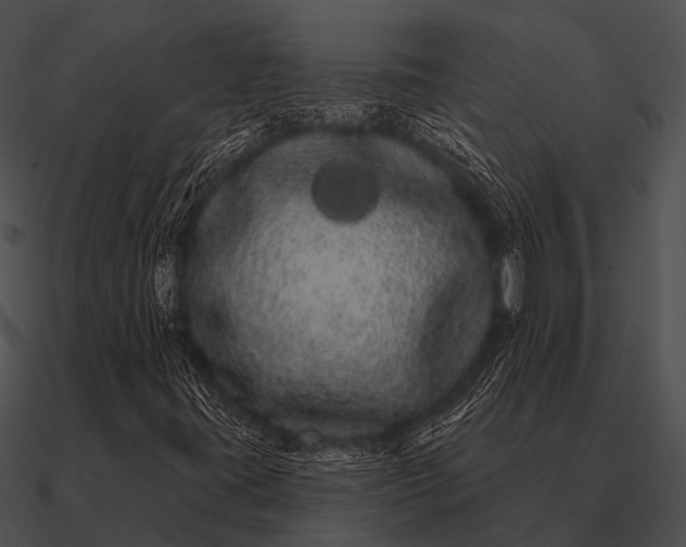 X0000090711395200708031424