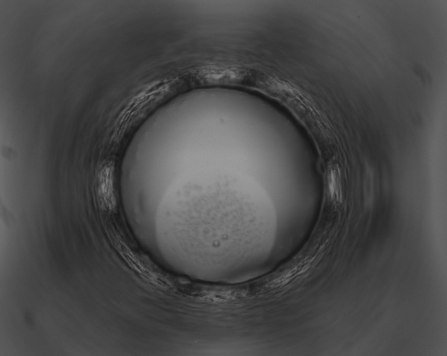 X0000090711396200708031424