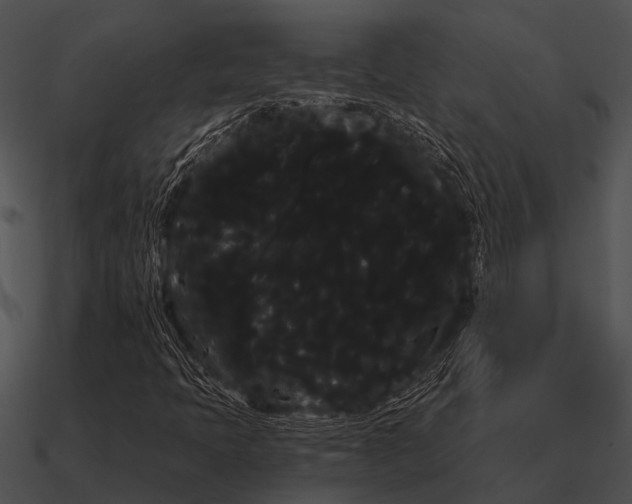 X0000090711397200708031424