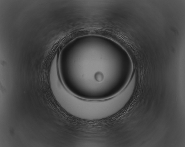 X0000090711398200708031424