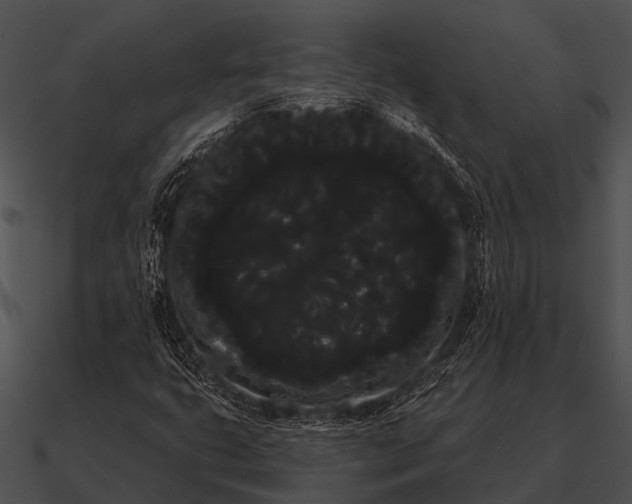 X0000090711399200708031424