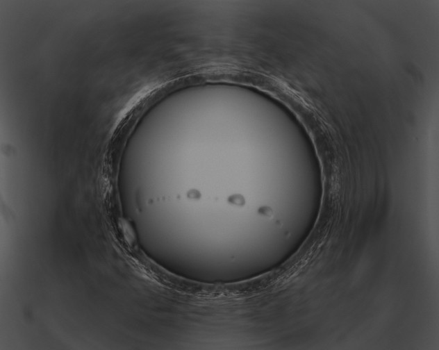 X0000090711400200708031424