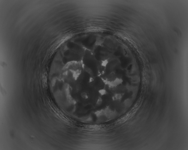 X0000090711401200708031424