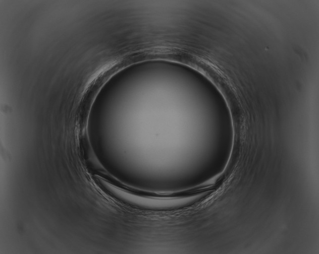 X0000090711402200708031424