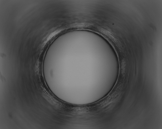 X0000090711404200708031424