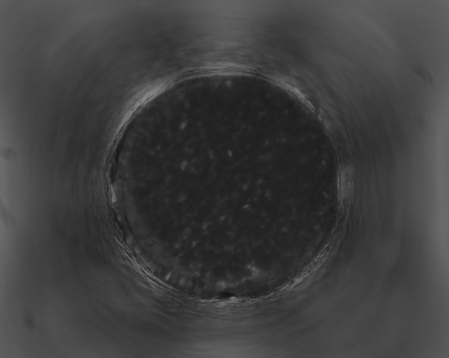 X0000090711405200708031424