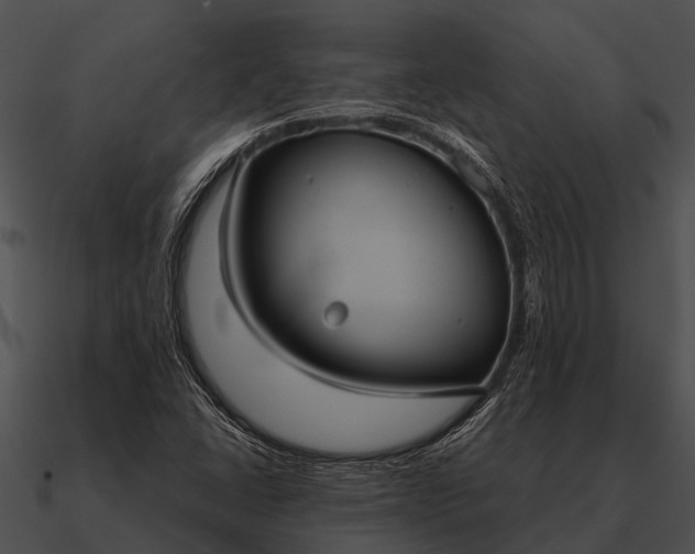 X0000090711406200708031424