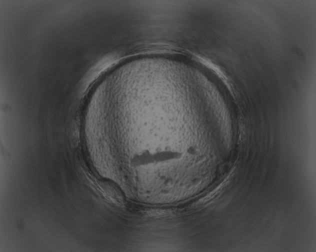 X0000090711407200708031424