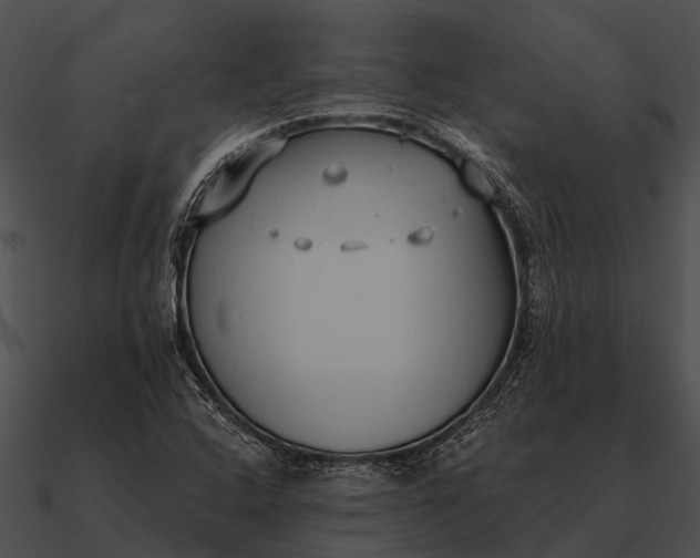 X0000090711408200708031424