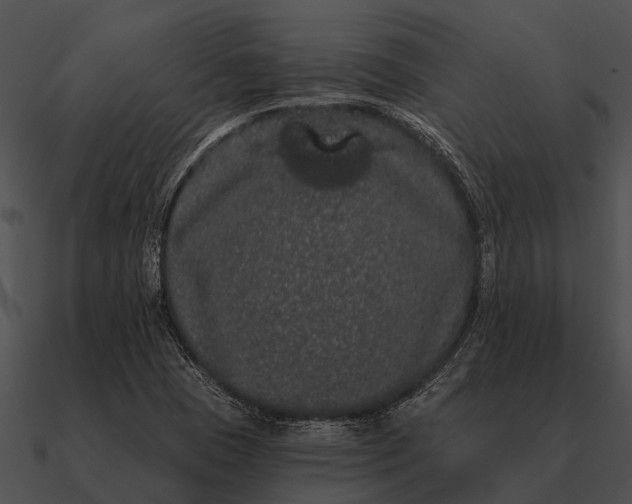 X0000090711409200708031424