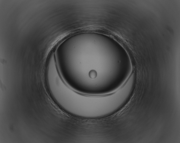 X0000090711410200708031424