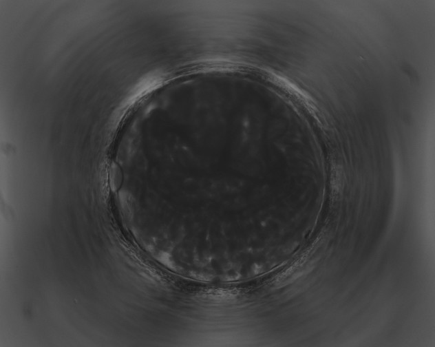 X0000090711411200708031424