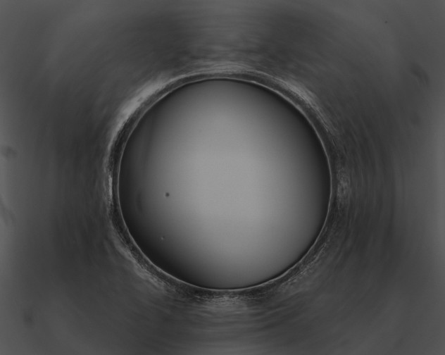 X0000090711414200708031424