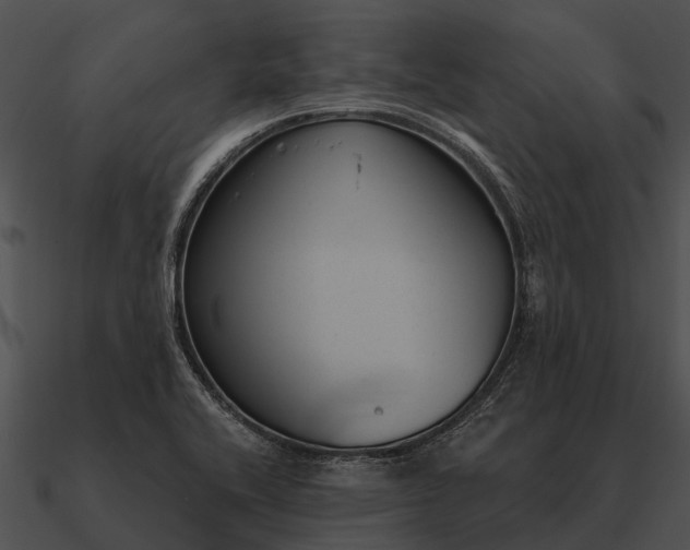 X0000090711416200708031424